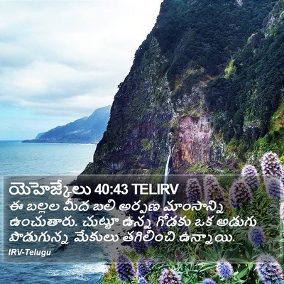 యెహెజ్కేలు 40:43 TELIRV Bible Verse Image