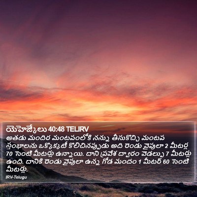 యెహెజ్కేలు 40:48 TELIRV Bible Verse Image