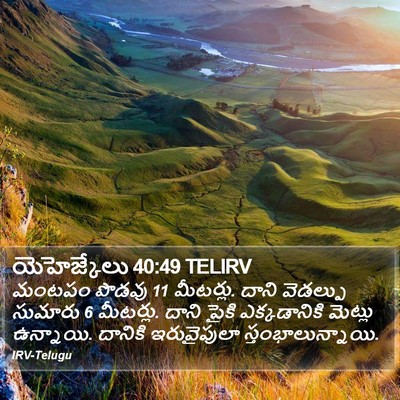 యెహెజ్కేలు 40:49 TELIRV Bible Verse Image