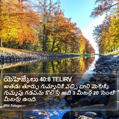 యెహెజ్కేలు 40:6 TELIRV Bible Verse Image