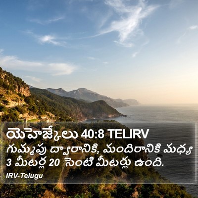 యెహెజ్కేలు 40:8 TELIRV Bible Verse Image