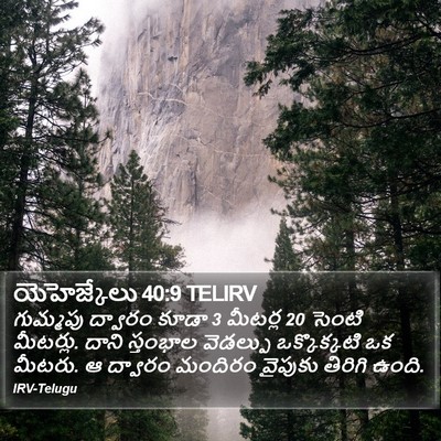 యెహెజ్కేలు 40:9 TELIRV Bible Verse Image