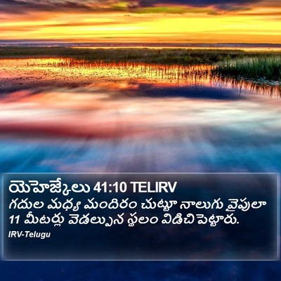 యెహెజ్కేలు 41:10 TELIRV Bible Verse Image