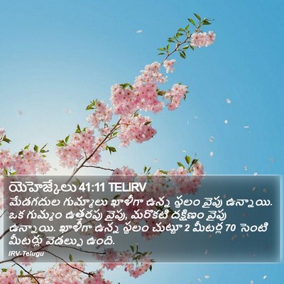 యెహెజ్కేలు 41:11 TELIRV Bible Verse Image