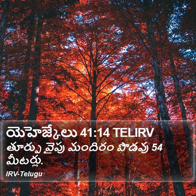 యెహెజ్కేలు 41:14 TELIRV Bible Verse Image