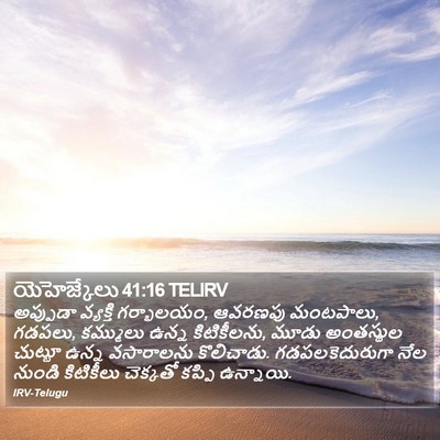 యెహెజ్కేలు 41:16 TELIRV Bible Verse Image