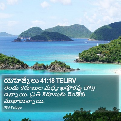యెహెజ్కేలు 41:18 TELIRV Bible Verse Image