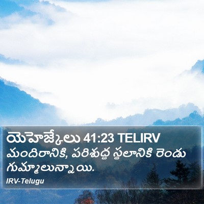 యెహెజ్కేలు 41:23 TELIRV Bible Verse Image