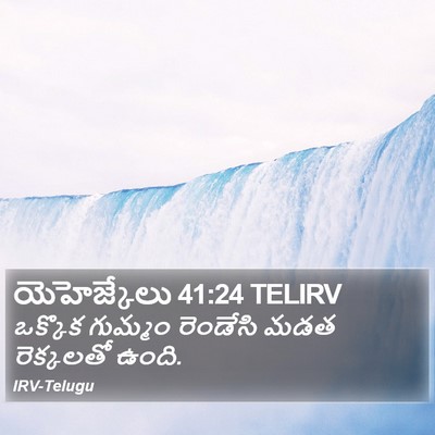 యెహెజ్కేలు 41:24 TELIRV Bible Verse Image