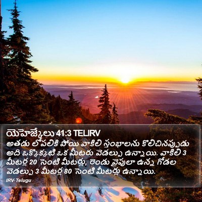 యెహెజ్కేలు 41:3 TELIRV Bible Verse Image