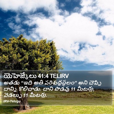 యెహెజ్కేలు 41:4 TELIRV Bible Verse Image