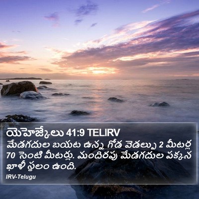యెహెజ్కేలు 41:9 TELIRV Bible Verse Image