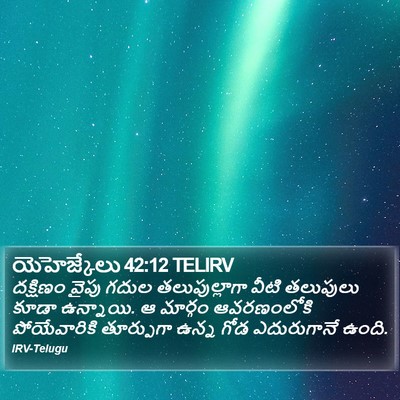 యెహెజ్కేలు 42:12 TELIRV Bible Verse Image