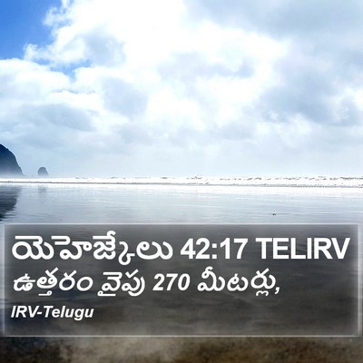 యెహెజ్కేలు 42:17 TELIRV Bible Verse Image