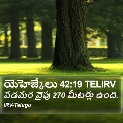 యెహెజ్కేలు 42:19 TELIRV Bible Verse Image