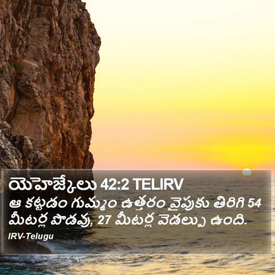 యెహెజ్కేలు 42:2 TELIRV Bible Verse Image