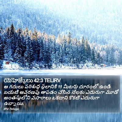 యెహెజ్కేలు 42:3 TELIRV Bible Verse Image