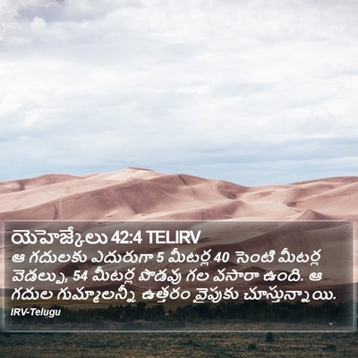 యెహెజ్కేలు 42:4 TELIRV Bible Verse Image
