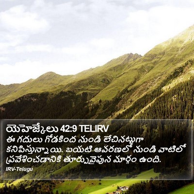 యెహెజ్కేలు 42:9 TELIRV Bible Verse Image