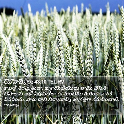 యెహెజ్కేలు 43:10 TELIRV Bible Verse Image