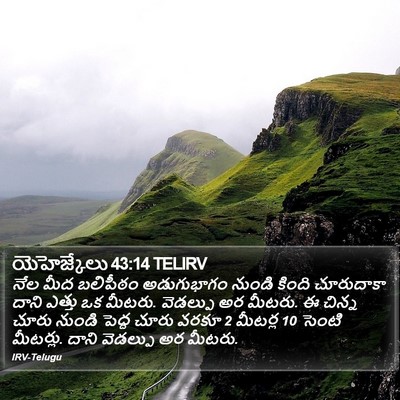 యెహెజ్కేలు 43:14 TELIRV Bible Verse Image