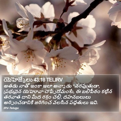 యెహెజ్కేలు 43:18 TELIRV Bible Verse Image