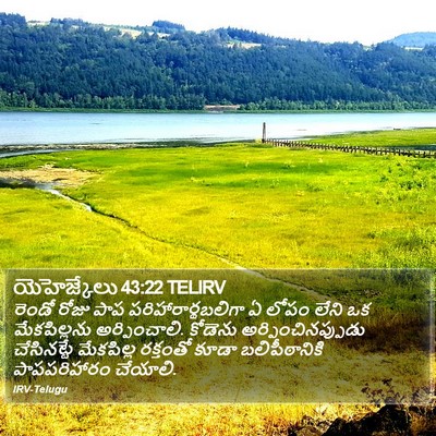 యెహెజ్కేలు 43:22 TELIRV Bible Verse Image