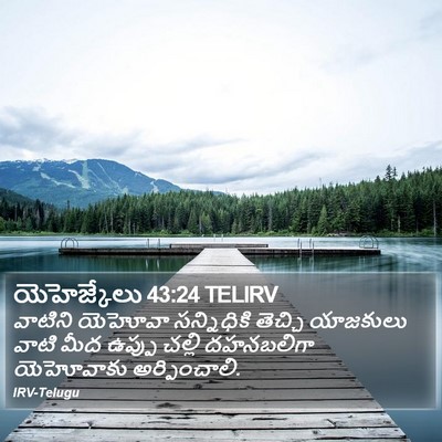 యెహెజ్కేలు 43:24 TELIRV Bible Verse Image