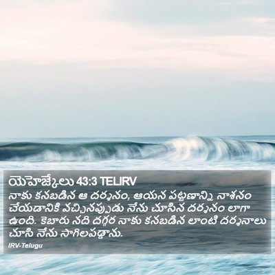 యెహెజ్కేలు 43:3 TELIRV Bible Verse Image