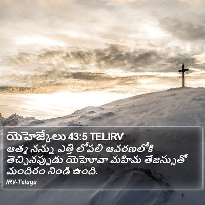 యెహెజ్కేలు 43:5 TELIRV Bible Verse Image