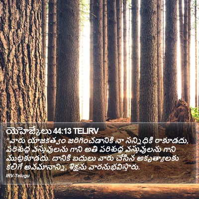 యెహెజ్కేలు 44:13 TELIRV Bible Verse Image