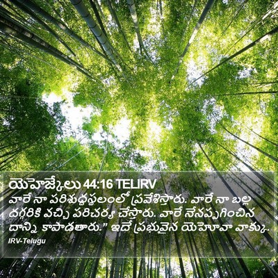 యెహెజ్కేలు 44:16 TELIRV Bible Verse Image