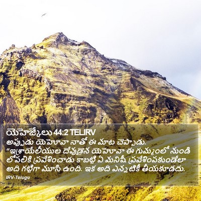 యెహెజ్కేలు 44:2 TELIRV Bible Verse Image