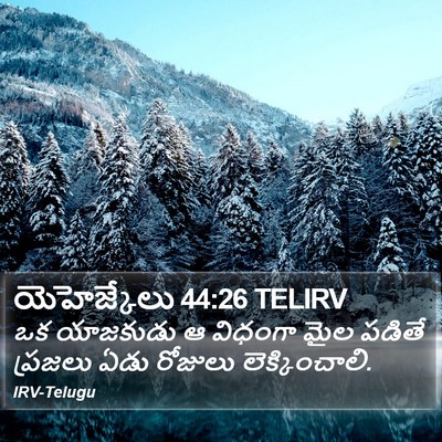 యెహెజ్కేలు 44:26 TELIRV Bible Verse Image