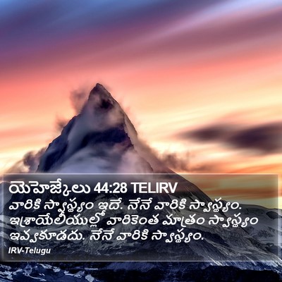 యెహెజ్కేలు 44:28 TELIRV Bible Verse Image