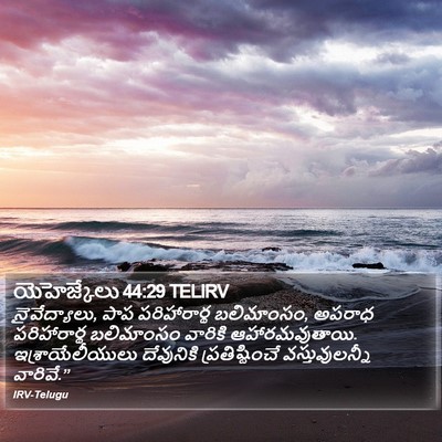 యెహెజ్కేలు 44:29 TELIRV Bible Verse Image