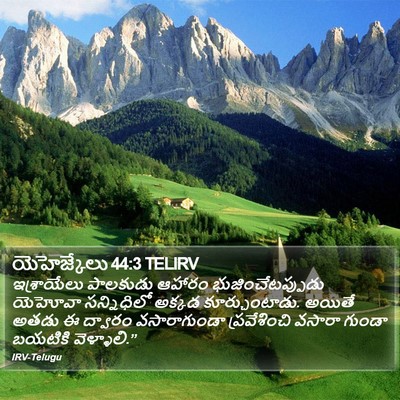 యెహెజ్కేలు 44:3 TELIRV Bible Verse Image