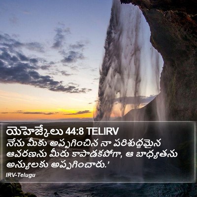 యెహెజ్కేలు 44:8 TELIRV Bible Verse Image