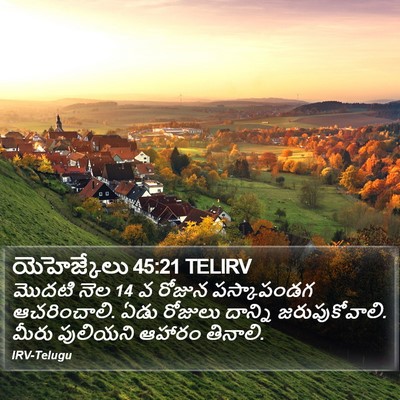 యెహెజ్కేలు 45:21 TELIRV Bible Verse Image