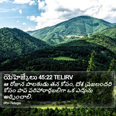 యెహెజ్కేలు 45:22 TELIRV Bible Verse Image