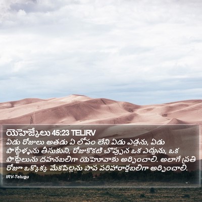 యెహెజ్కేలు 45:23 TELIRV Bible Verse Image