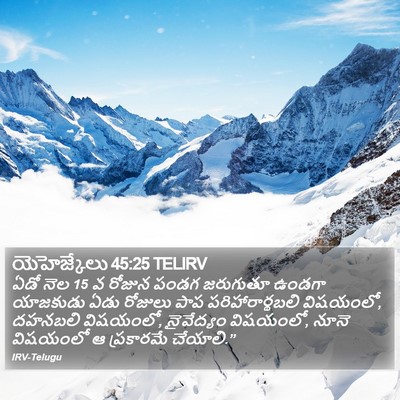 యెహెజ్కేలు 45:25 TELIRV Bible Verse Image