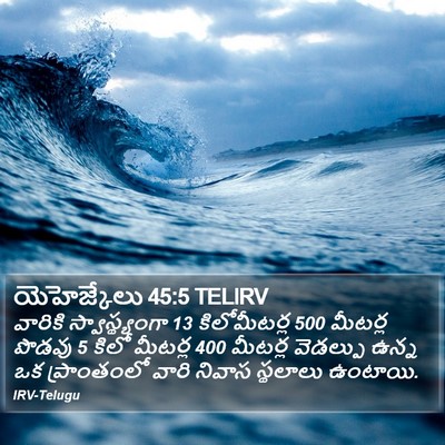 యెహెజ్కేలు 45:5 TELIRV Bible Verse Image