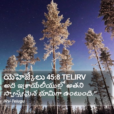 యెహెజ్కేలు 45:8 TELIRV Bible Verse Image