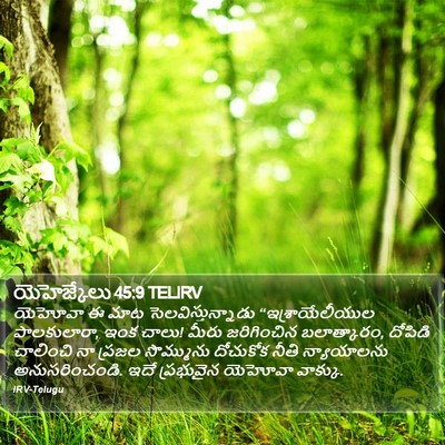 యెహెజ్కేలు 45:9 TELIRV Bible Verse Image
