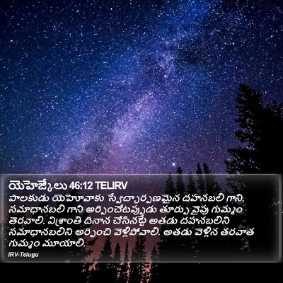 యెహెజ్కేలు 46:12 TELIRV Bible Verse Image