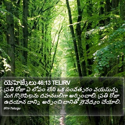 యెహెజ్కేలు 46:13 TELIRV Bible Verse Image