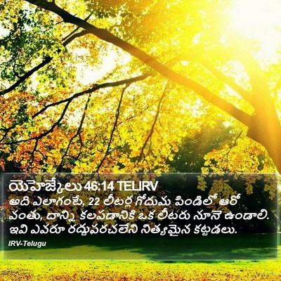 యెహెజ్కేలు 46:14 TELIRV Bible Verse Image
