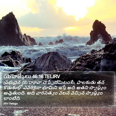 యెహెజ్కేలు 46:16 TELIRV Bible Verse Image