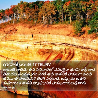 యెహెజ్కేలు 46:17 TELIRV Bible Verse Image